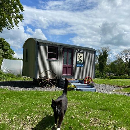 The Hares Hut At Carrigeen Glamping Kilkenny Exterior foto