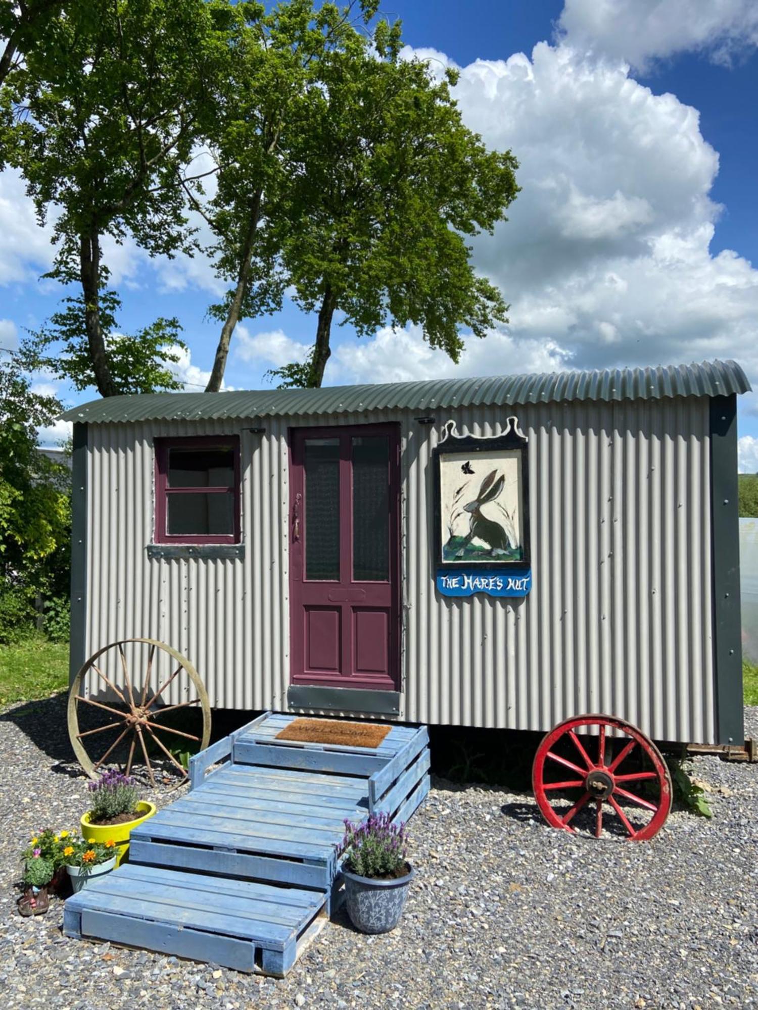 The Hares Hut At Carrigeen Glamping Kilkenny Exterior foto